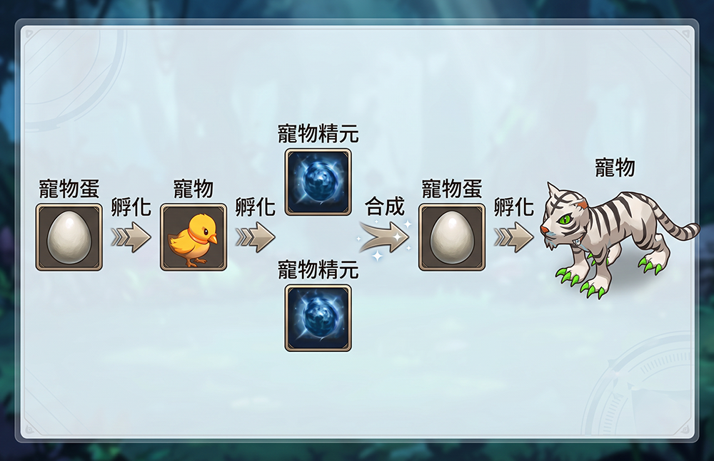 寵物動態展示